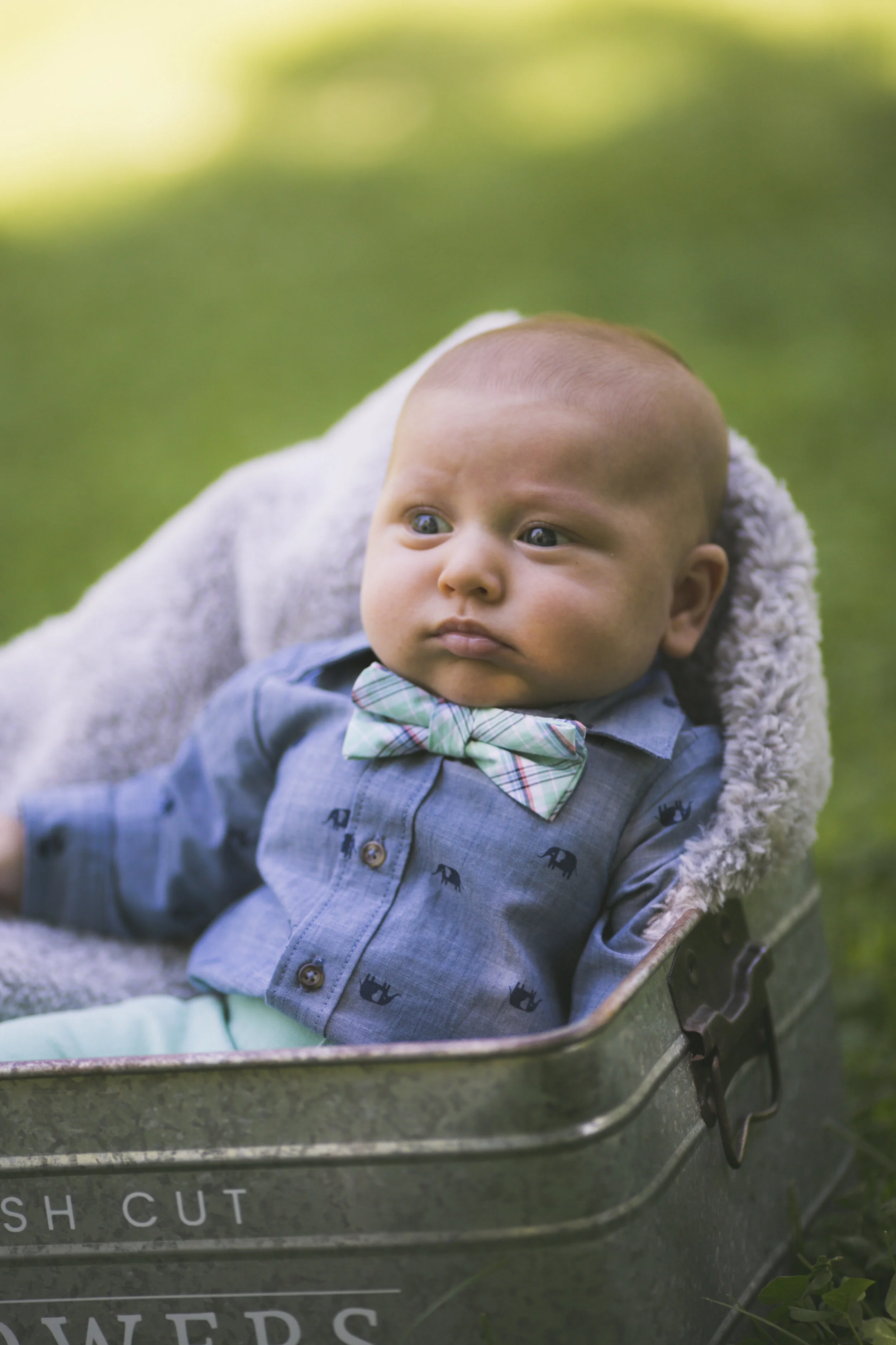 HamiltonForman-3 copy.jpg