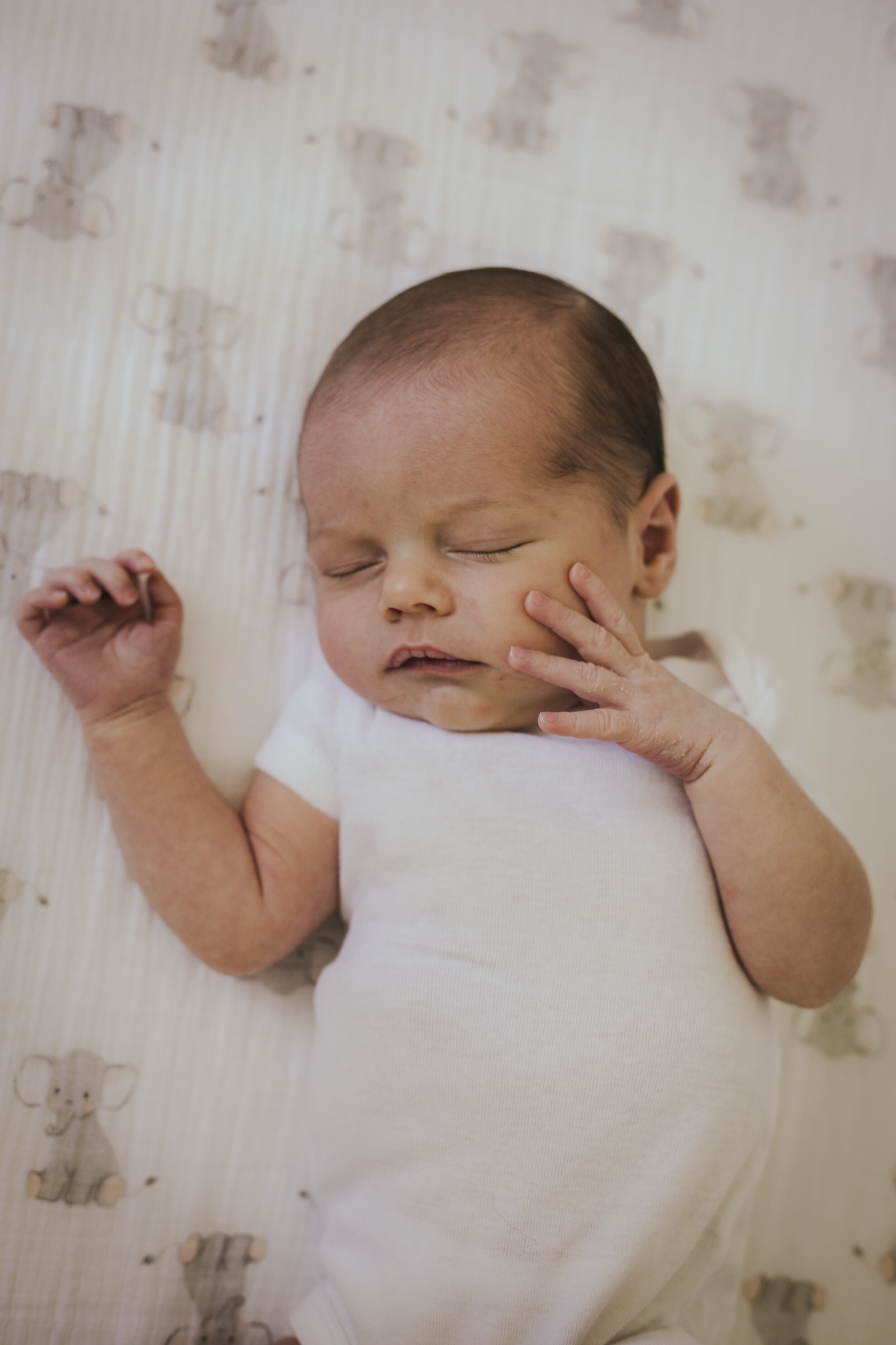 Zeke Bennett-1 copy.jpg