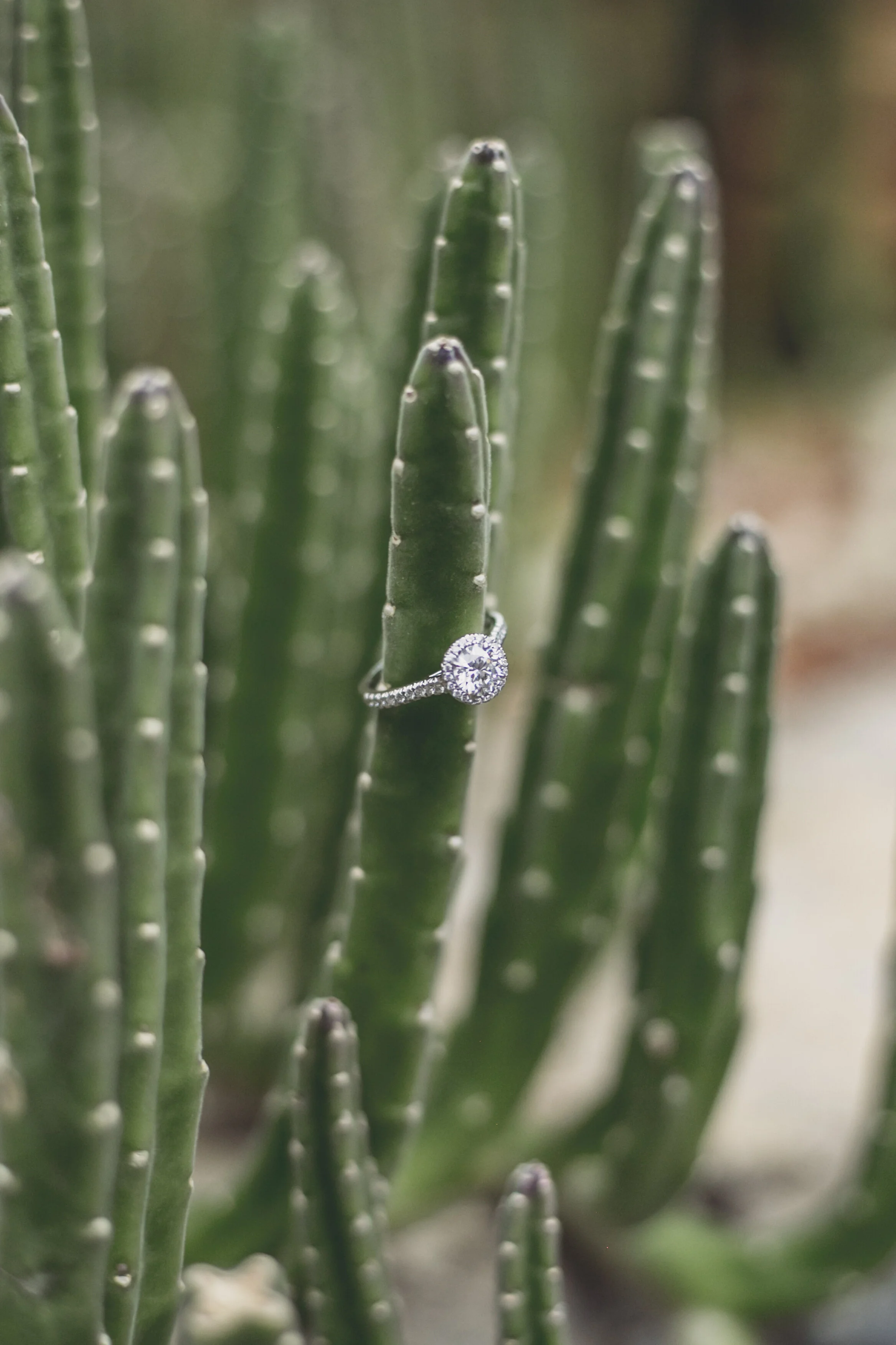 KevinLonde-71 copy.jpg