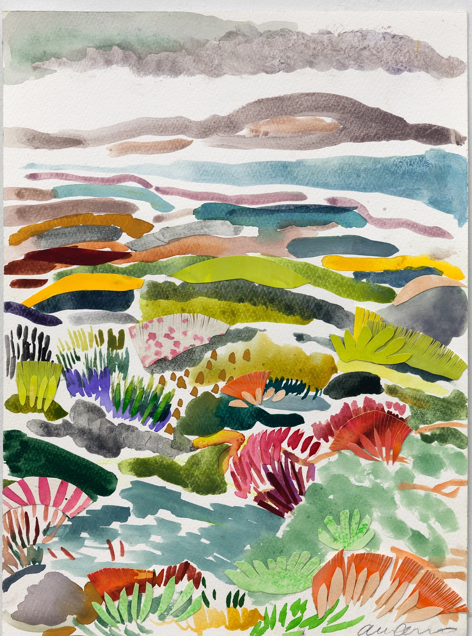 Fynbos Landscape i