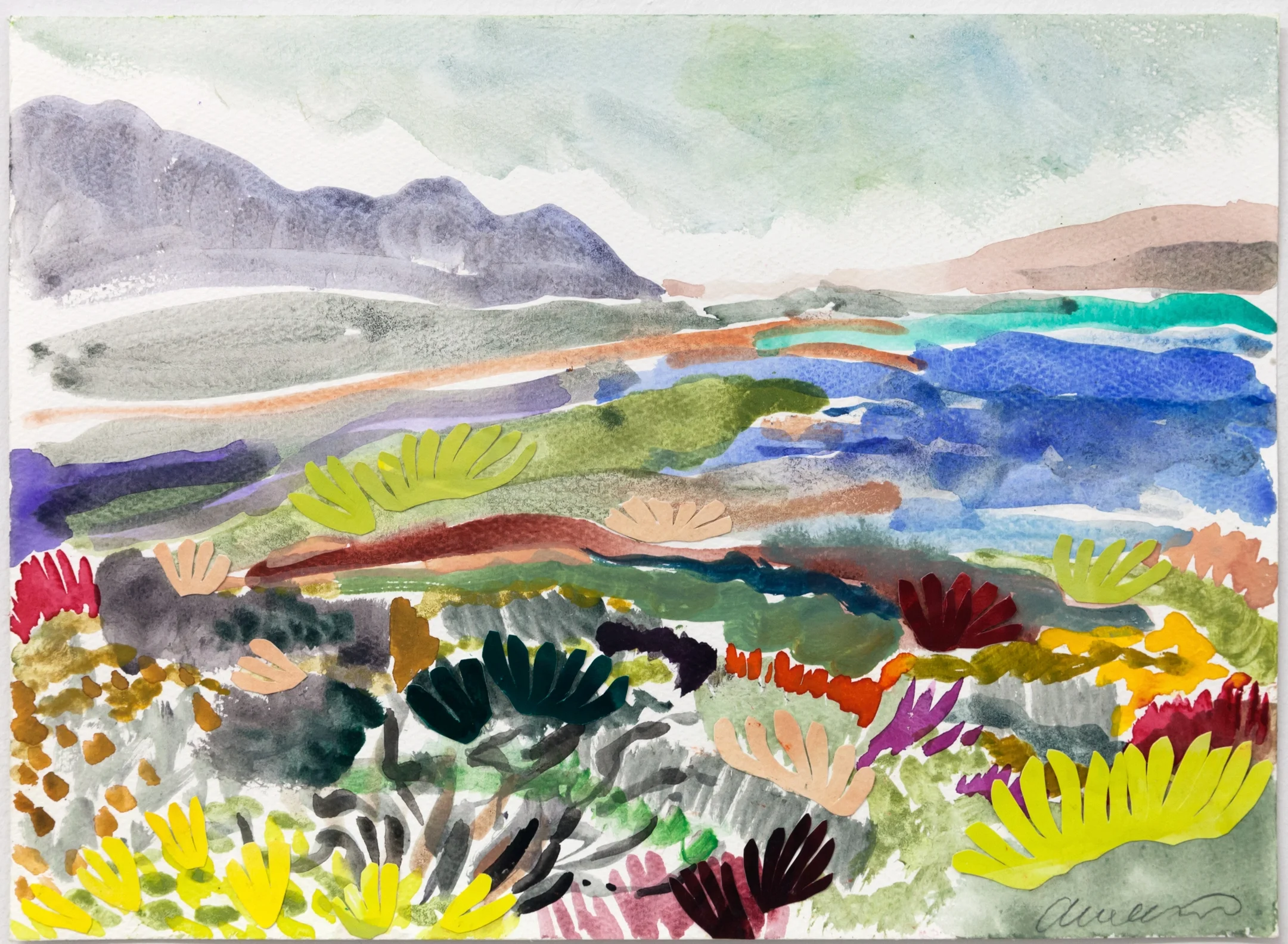 Fynbos Landscape ii