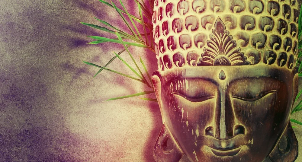 Cacao Orgastic, hvad for en session?!