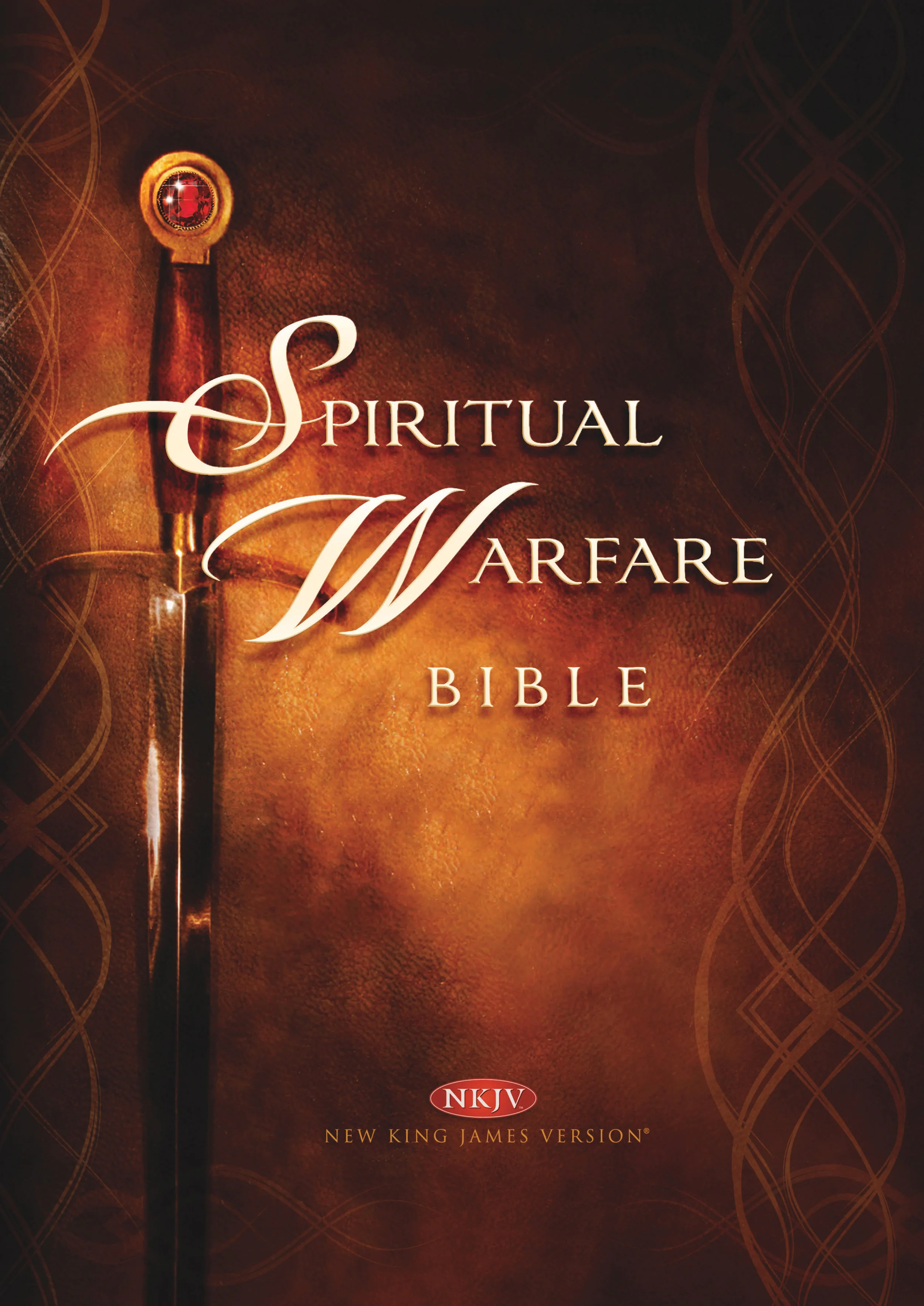 10508A Spiritual Warfare Bible Case.jpg