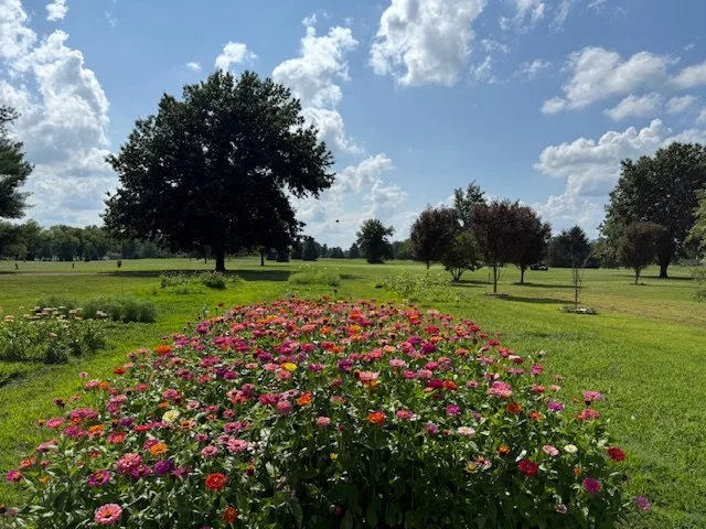Petals, Pars & Peaches