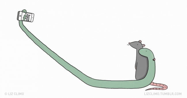 Illustration by Liz Climo