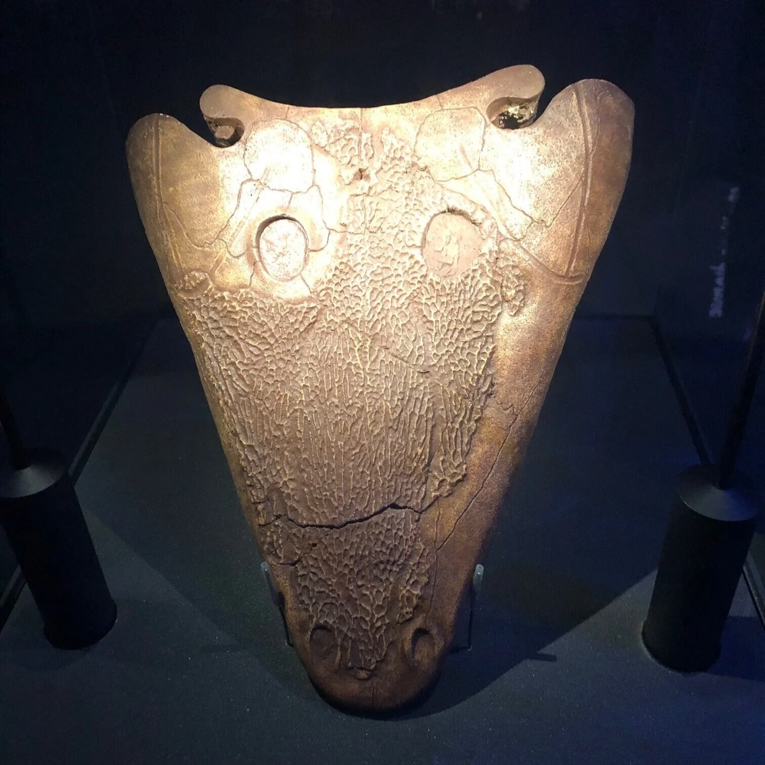 Replica of Calmasuchus acri | Credit: Talita Bateman