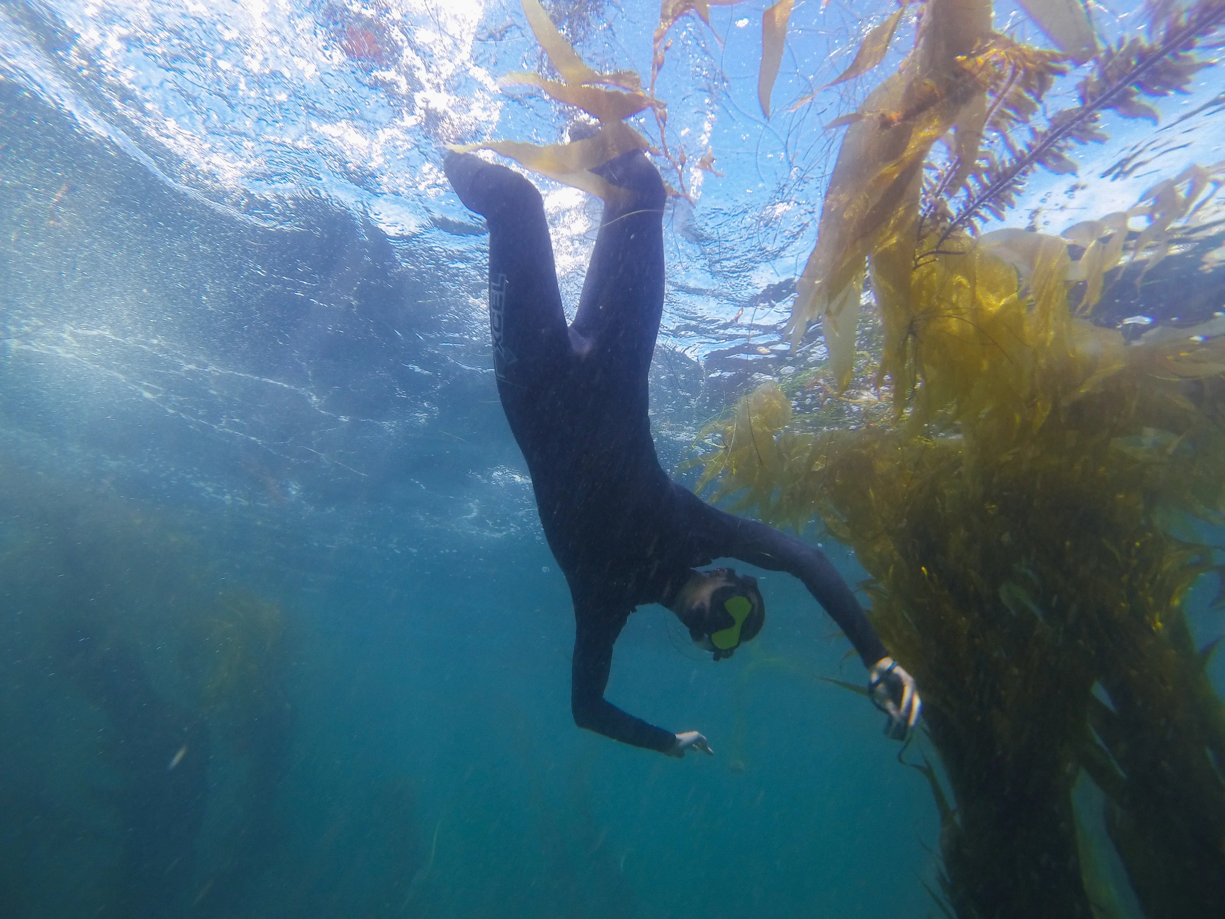 GOPR0583.jpg