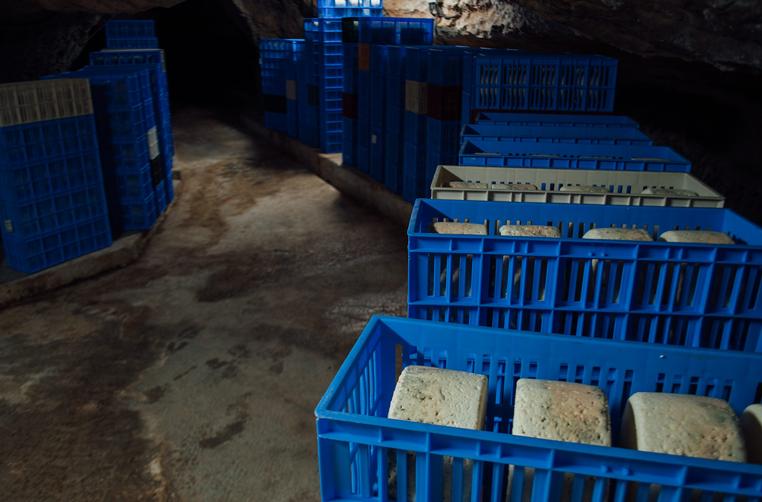 queso_cabrales_cueva_del_molin_monicargoya_05.jpg