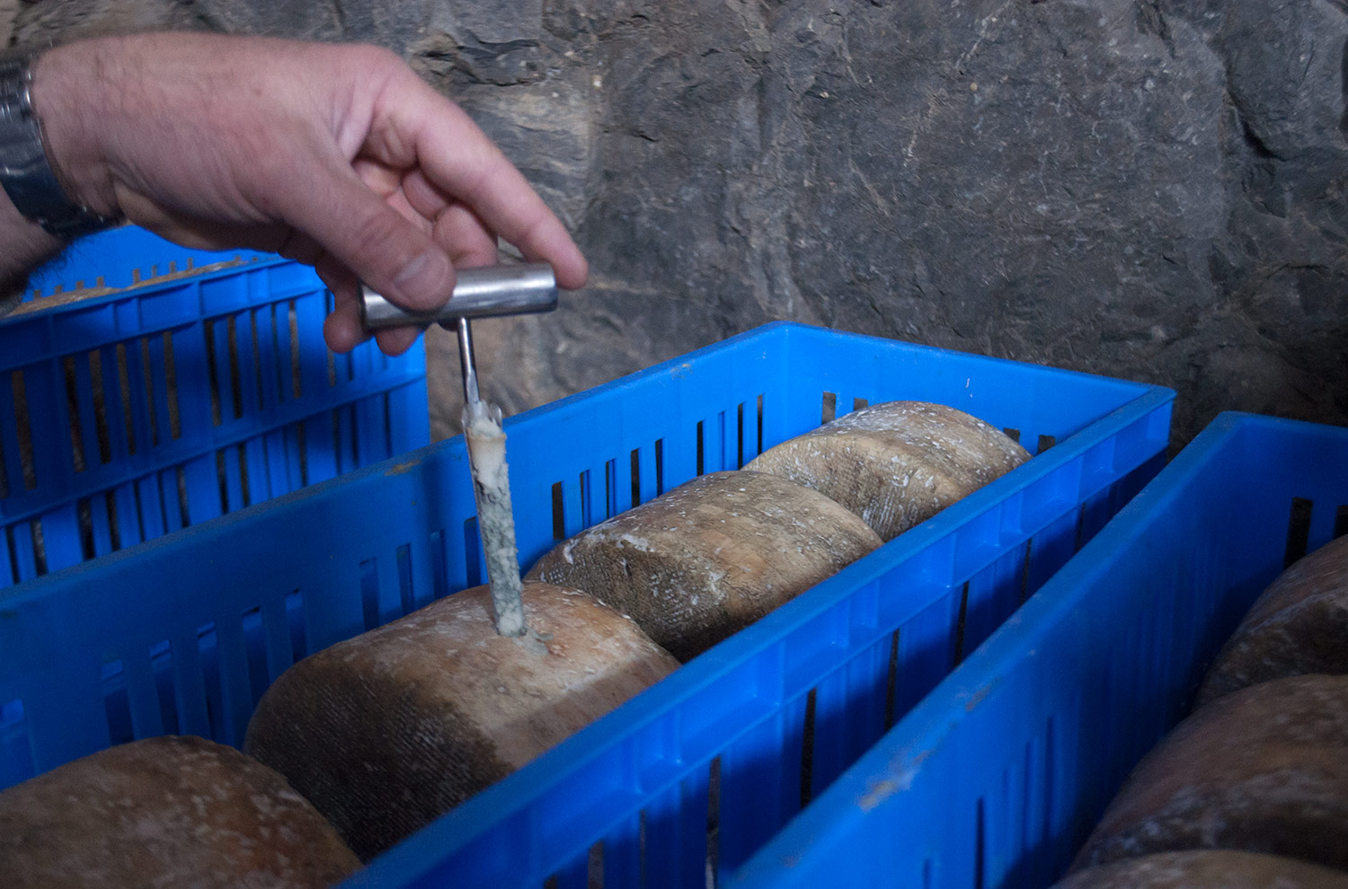 queso_cabrales_cueva_del_molin_monicargoya_06.jpg