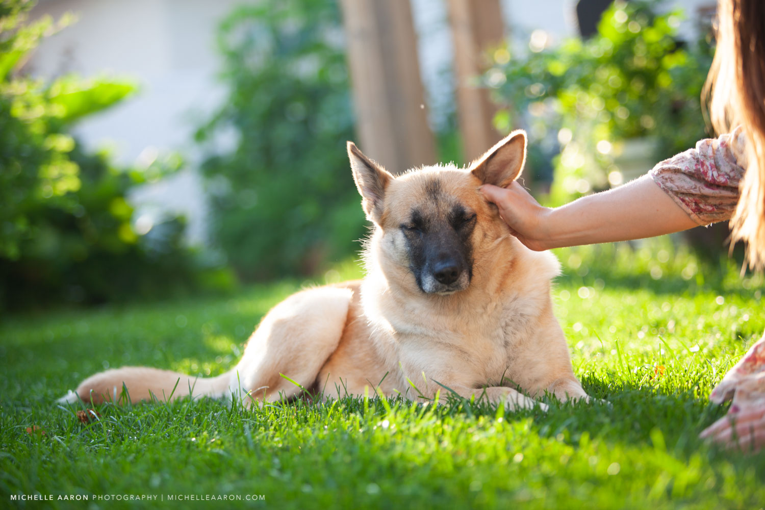 Doris_July2019-28.jpg