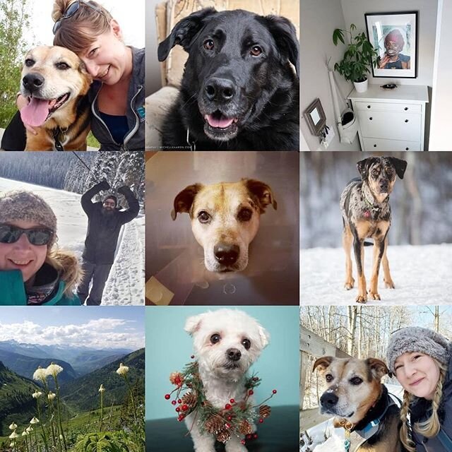 My best girl, my best friend, more pups, exploring and Tyrone. Yup, that looks about right! See ya 2019, and happy 2020 🎉 
#bestnine2019