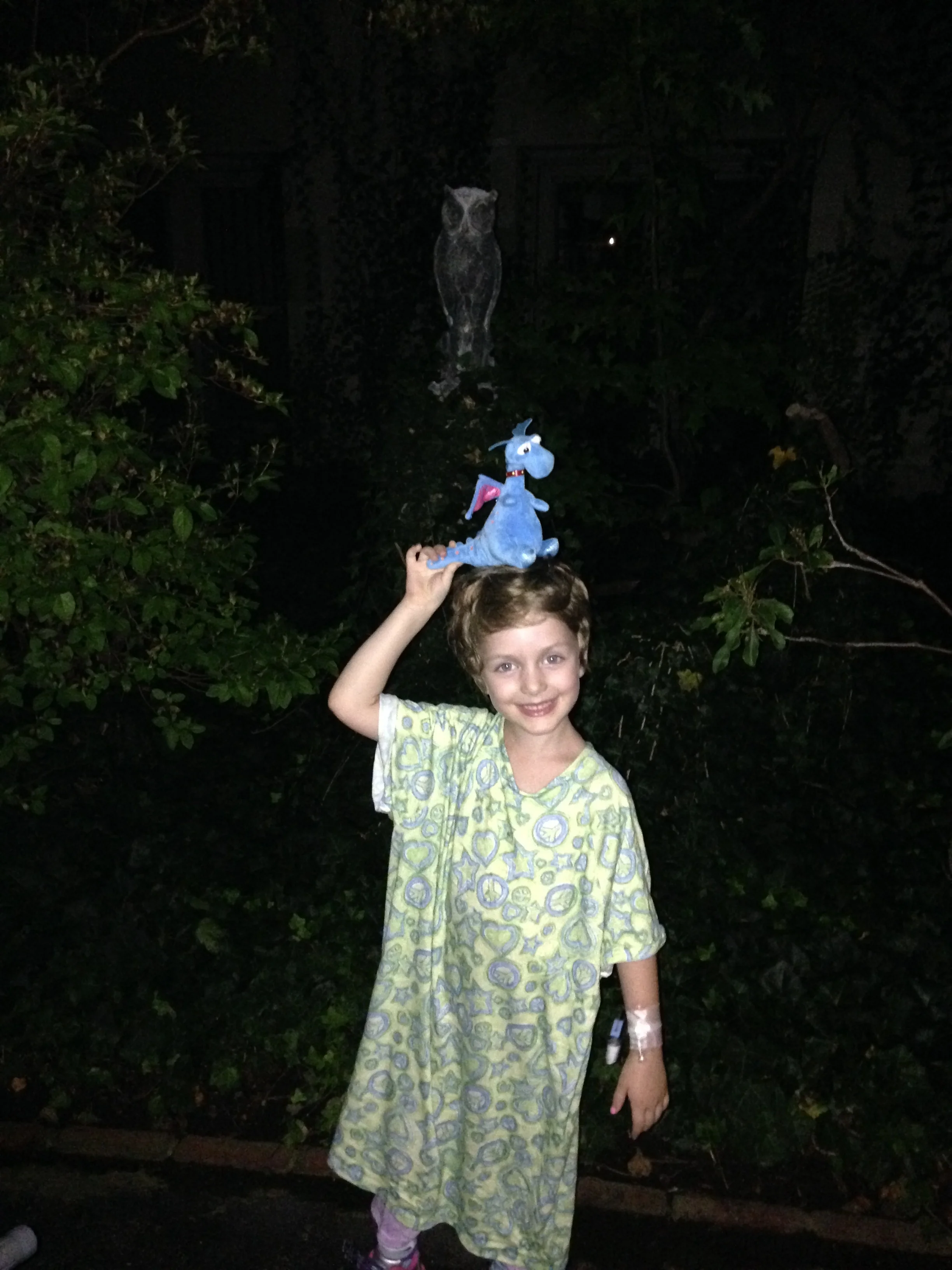 Shadow Puppets on the Garden Wall