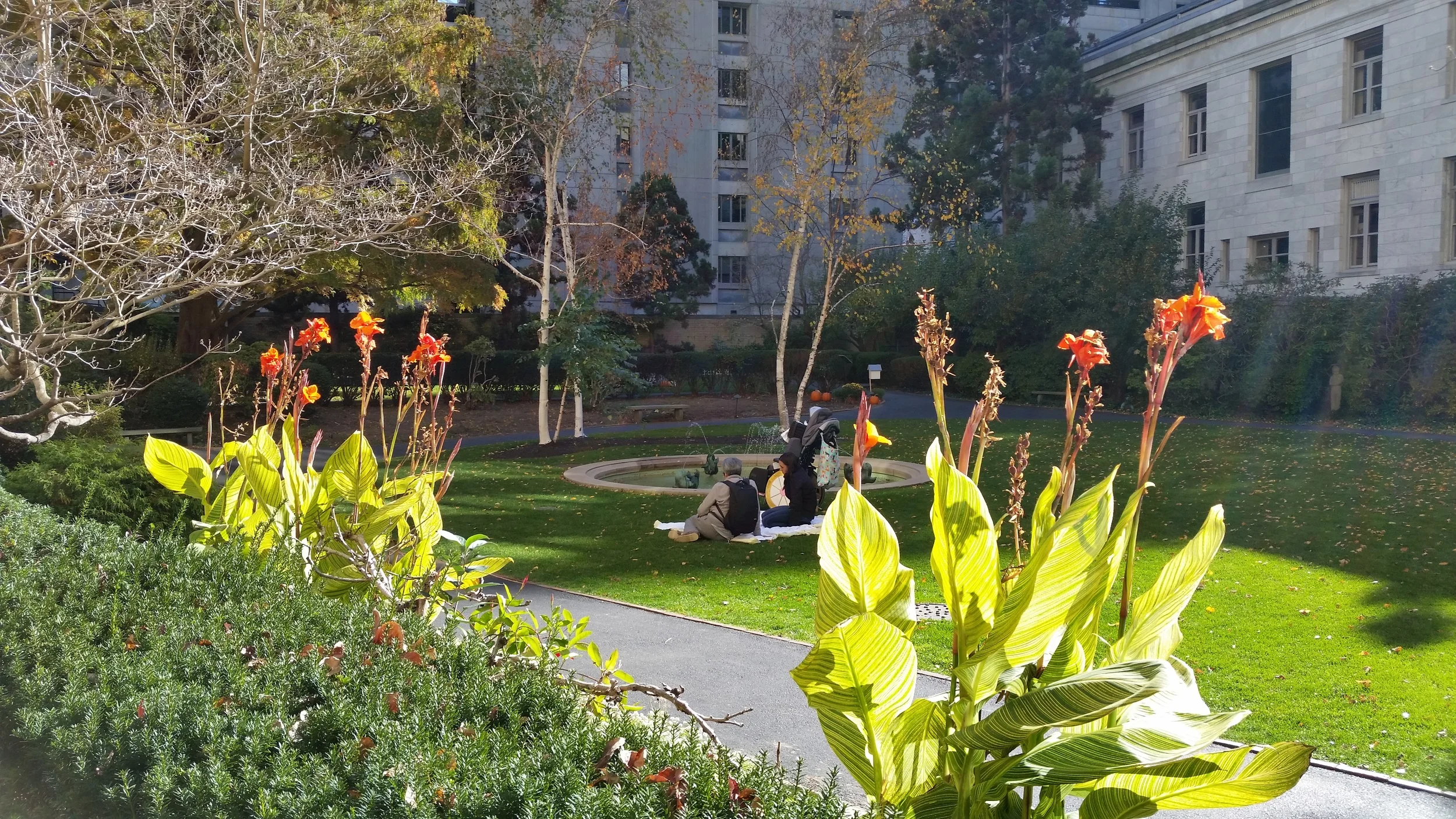 So Goes the Soul of the Hospital