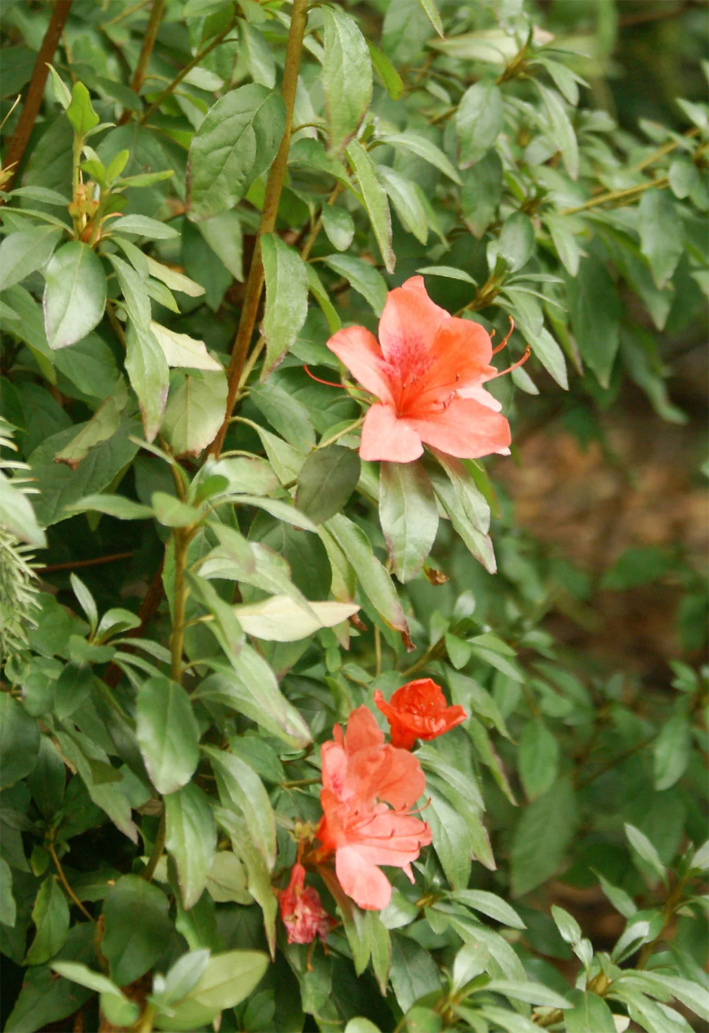 You are Capable of More than You Know