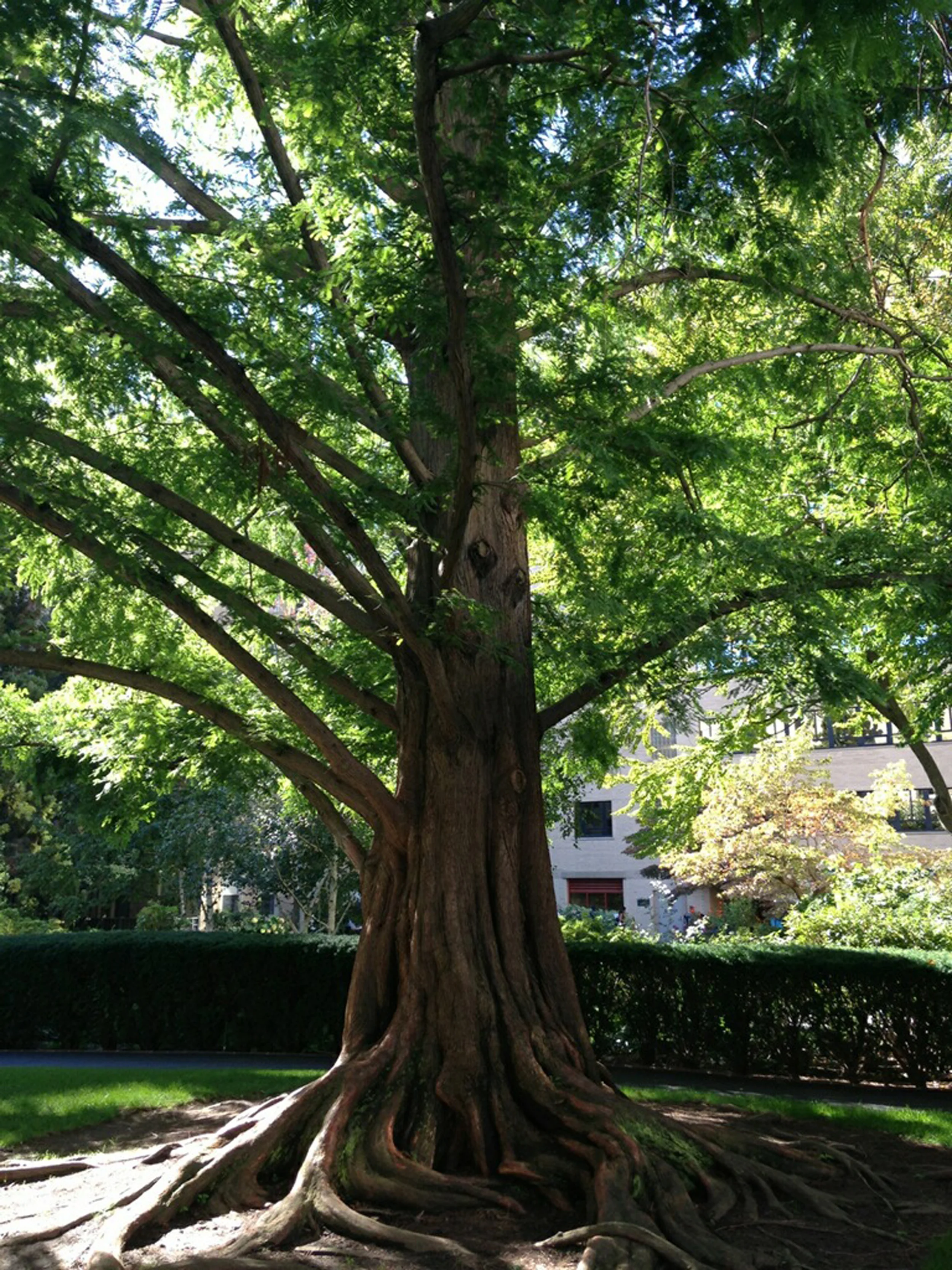 "Save Me:" Our Latest Full Page Ad