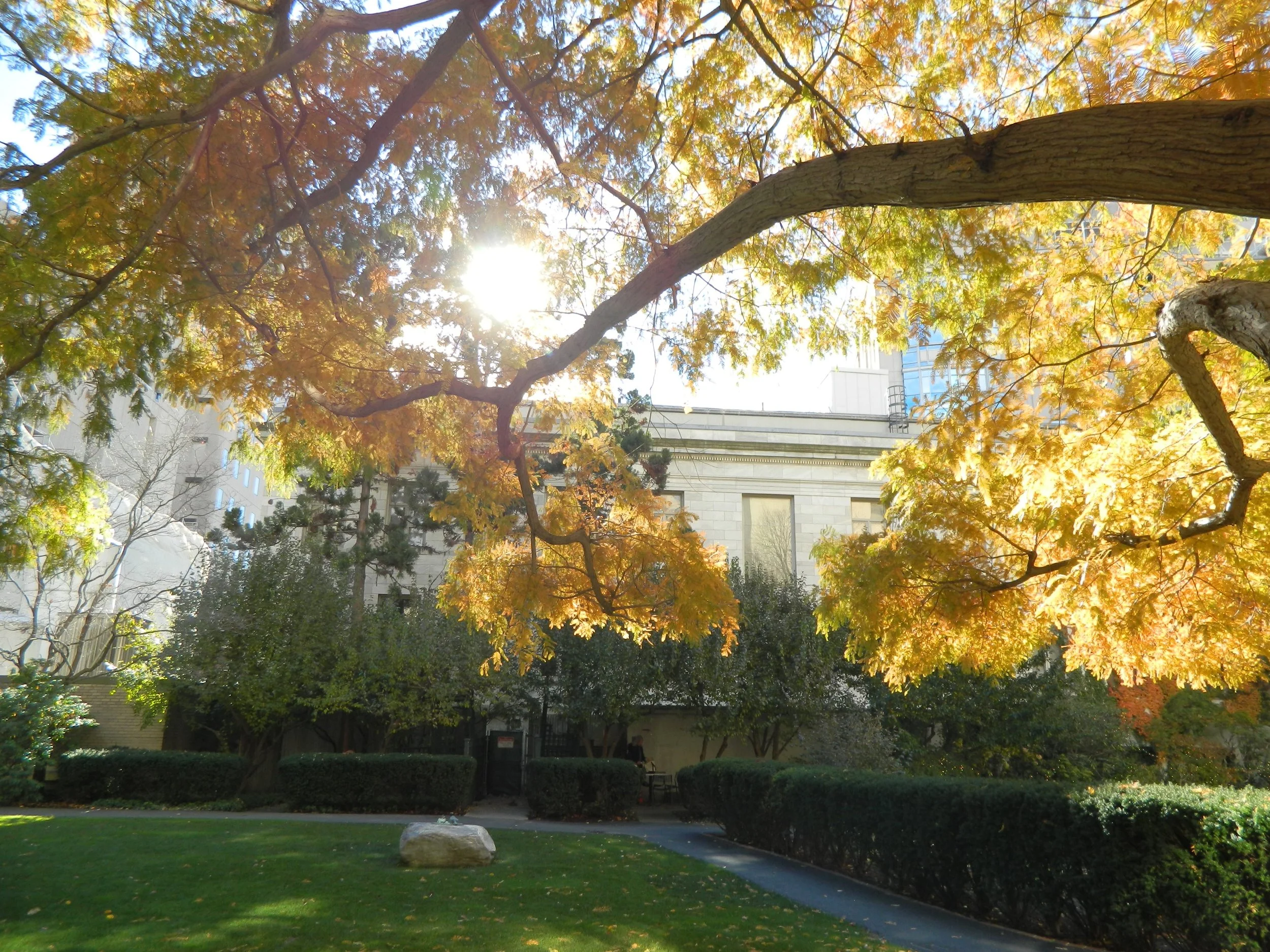 Healing Garden 040 - Copy.JPG