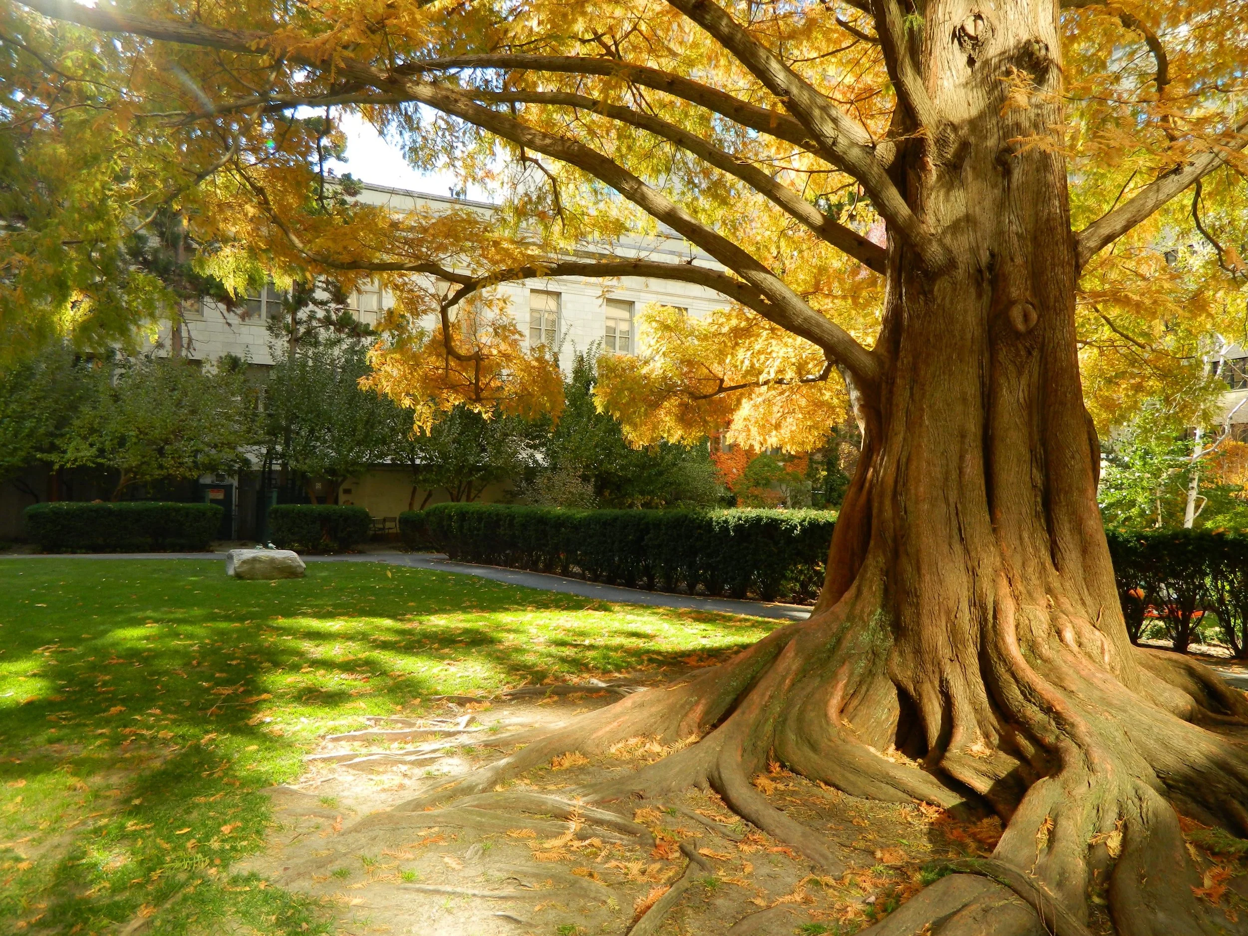 This Might Be Goodbye