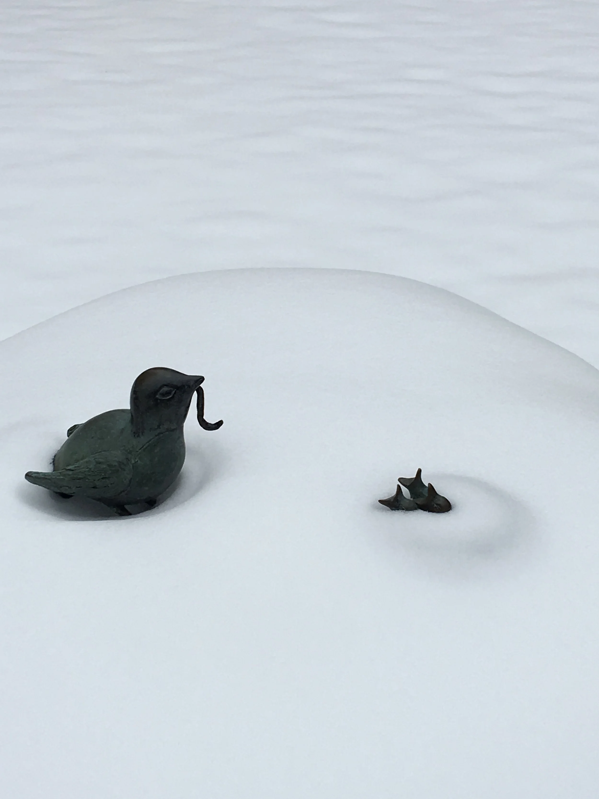 Zooming Out, Next Steps