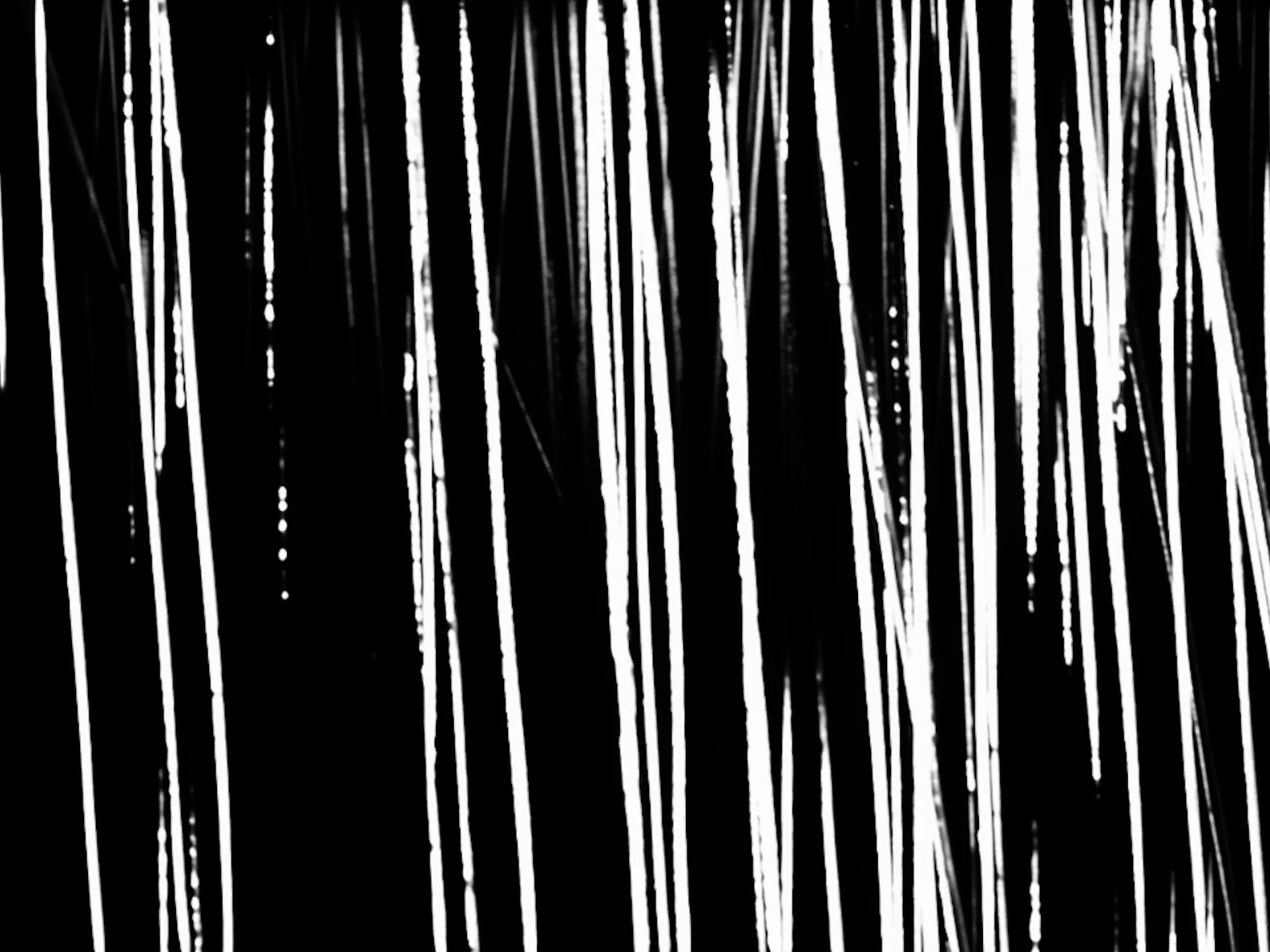 Sequence3 Copy 01.00_03_05_07.Still015.jpg