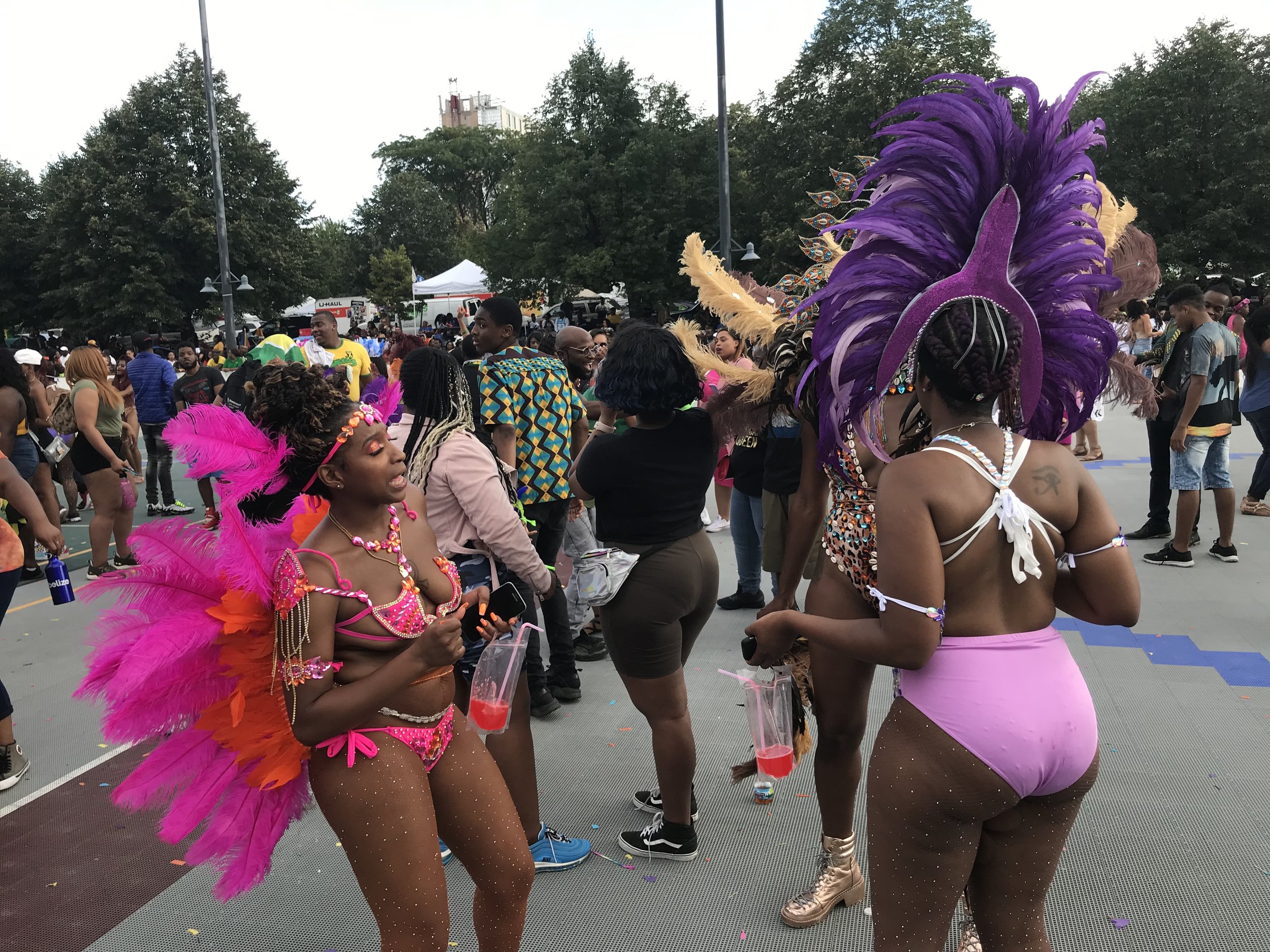 Chicago Caribbean Carnival — Africa International House USA, Inc.