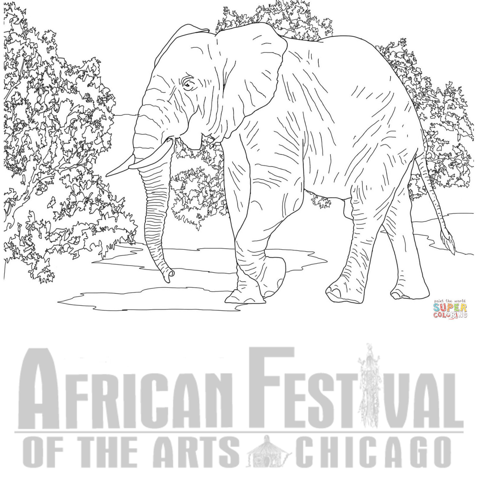 AFA Color Elephant.jpg