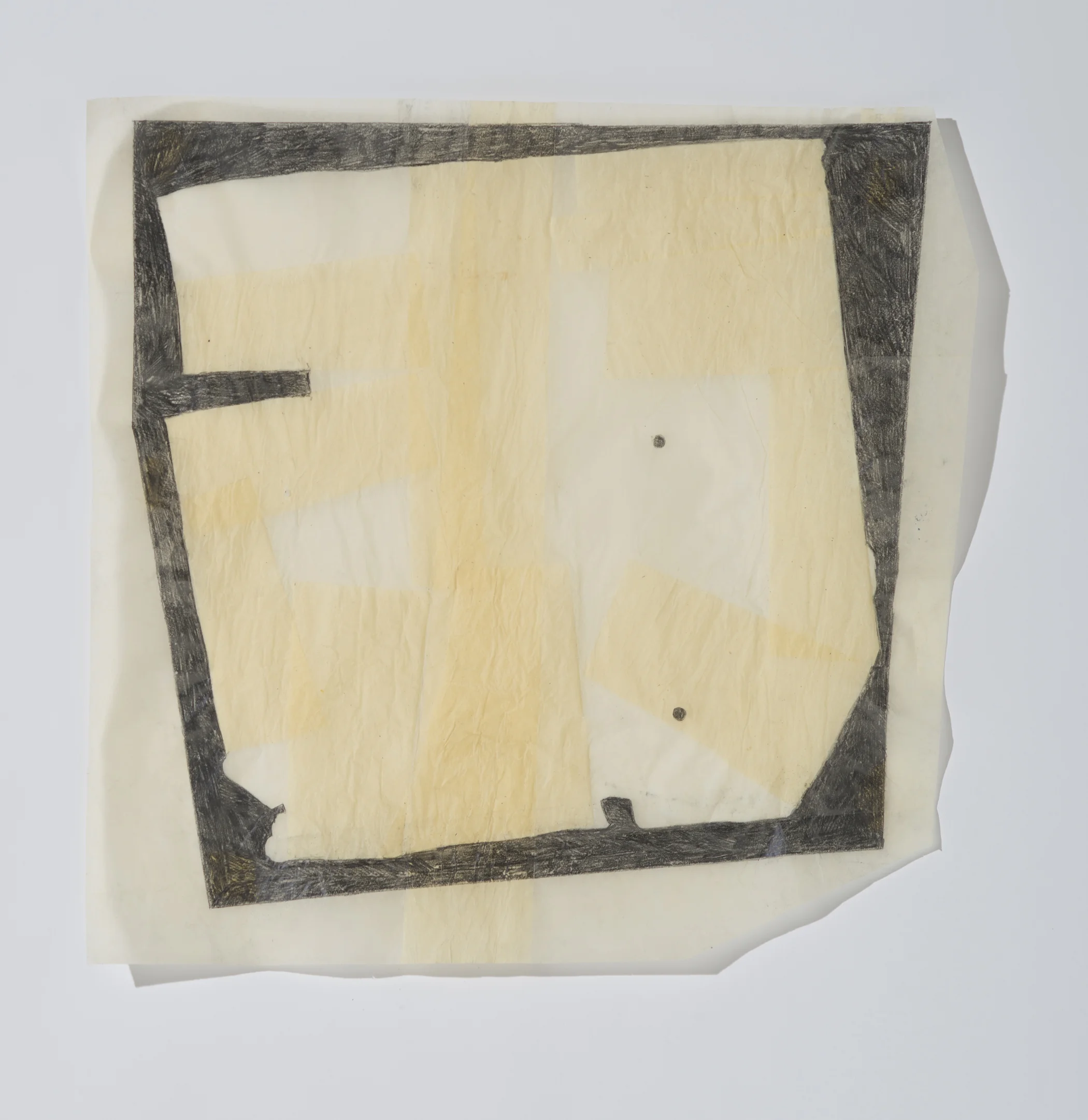 Fossil 2, 2018, graphite on trace paper, 26 x 26.5 inches