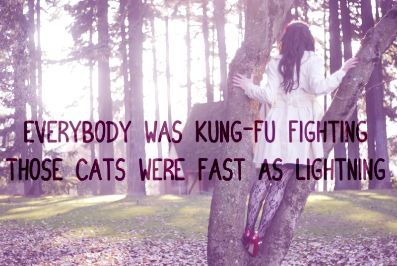 kung fu fighting.jpg