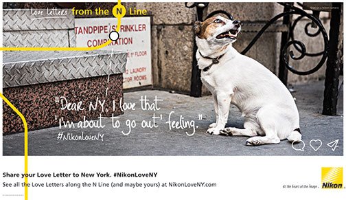 Nikon-Love-Letters-Dog-GoingOut.jpg