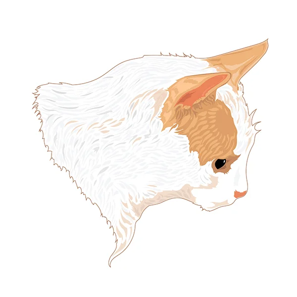 white cat ah draw copy.jpg