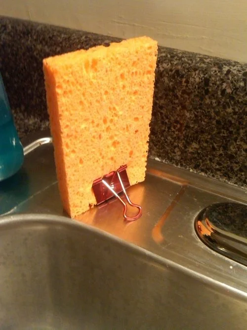 sponge.jpg
