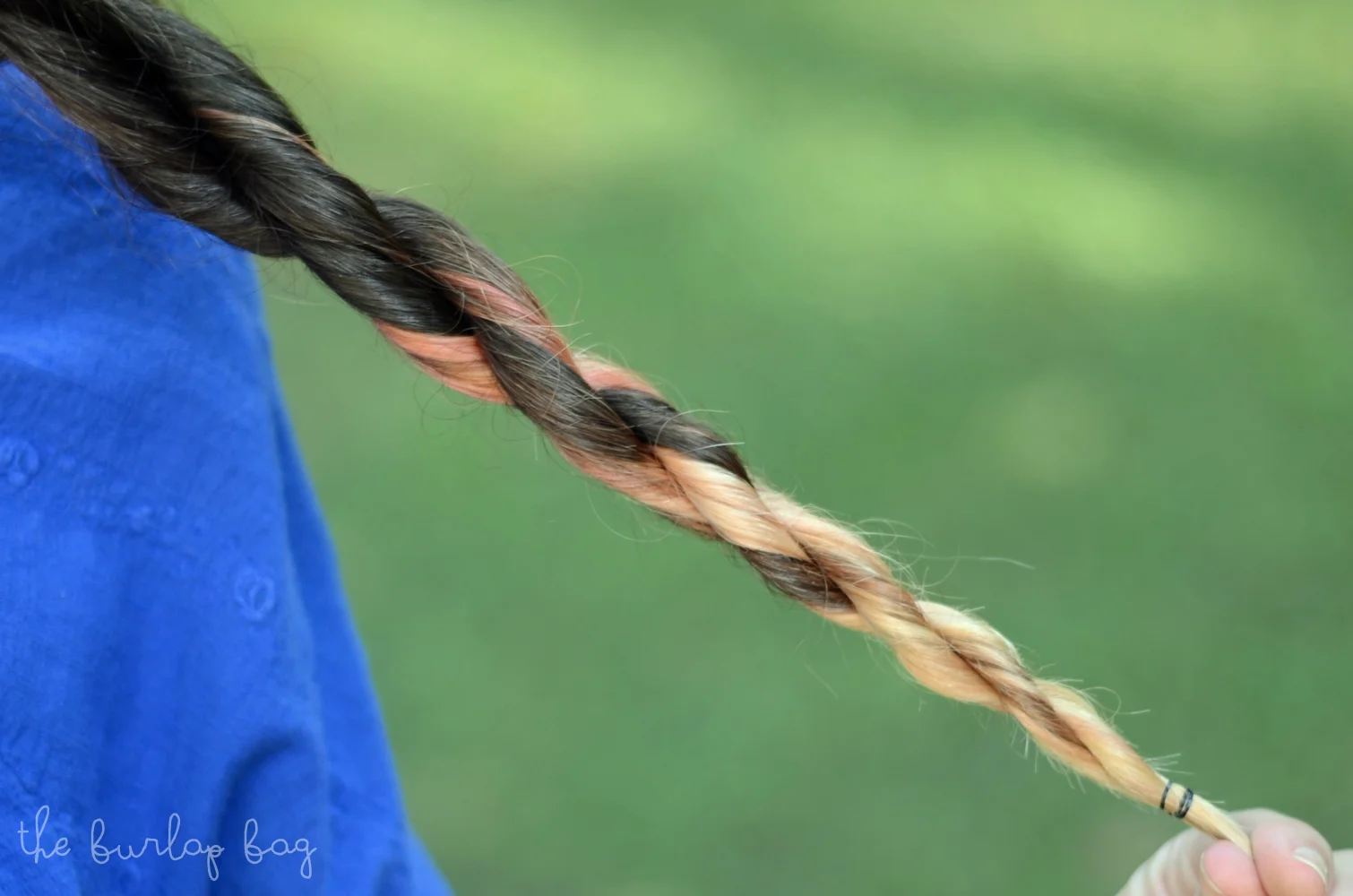 DSC_8733a.jpg