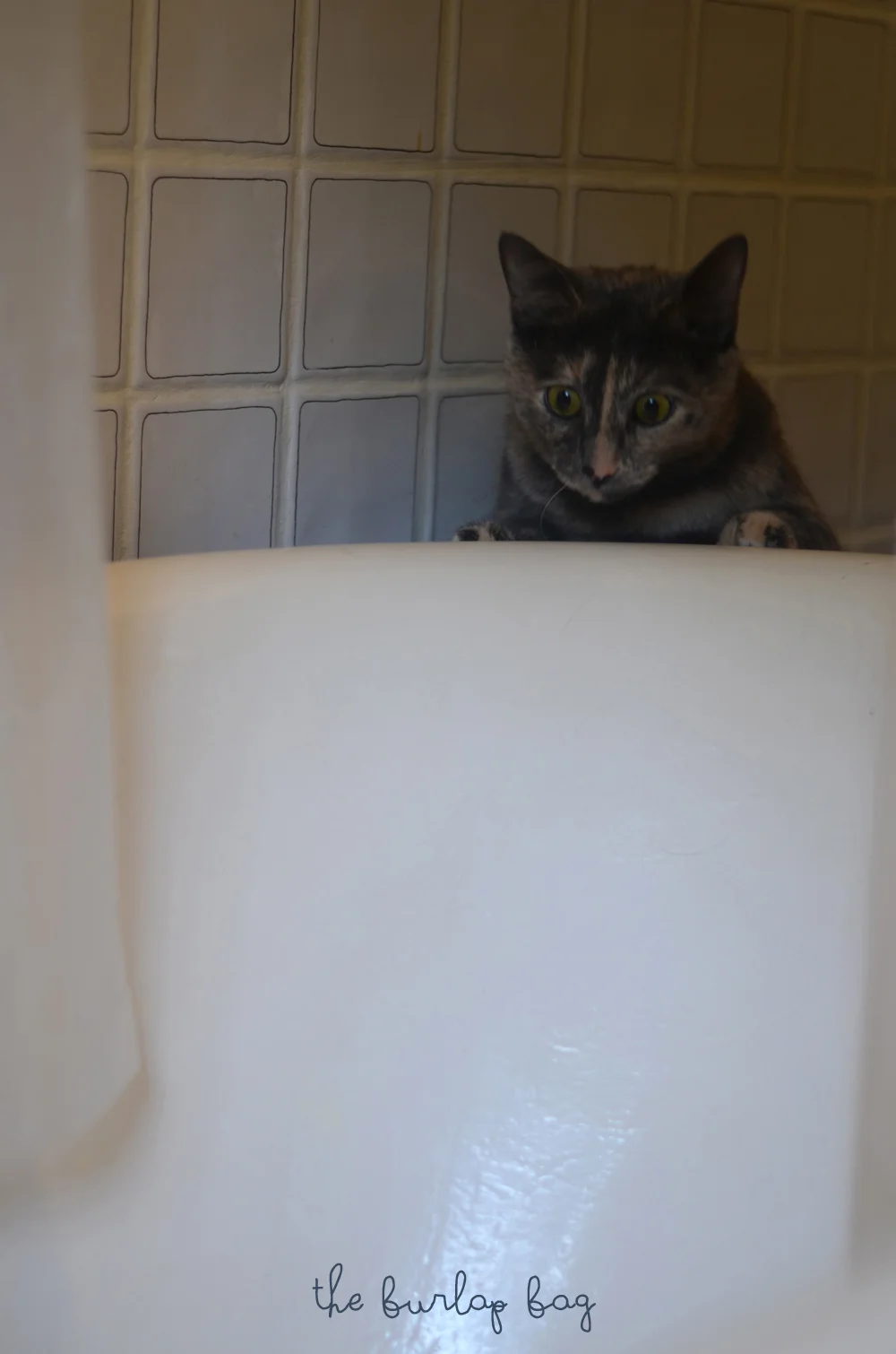 DSC_8756.jpg