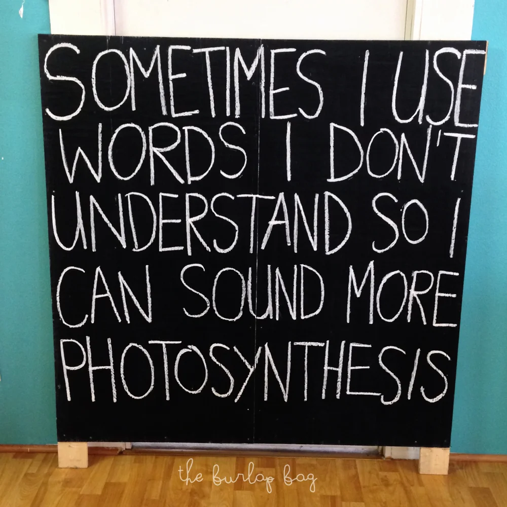 photosynthesis.jpg