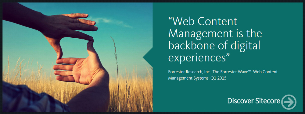 Forrester Research, Inc., The Forrester Wave : Web Content Management Systems, Q1 2015"