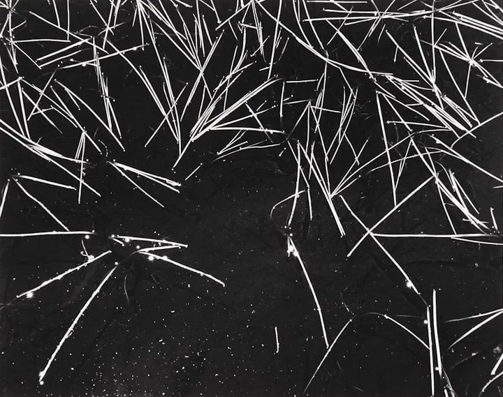photo via the official ansel adams website