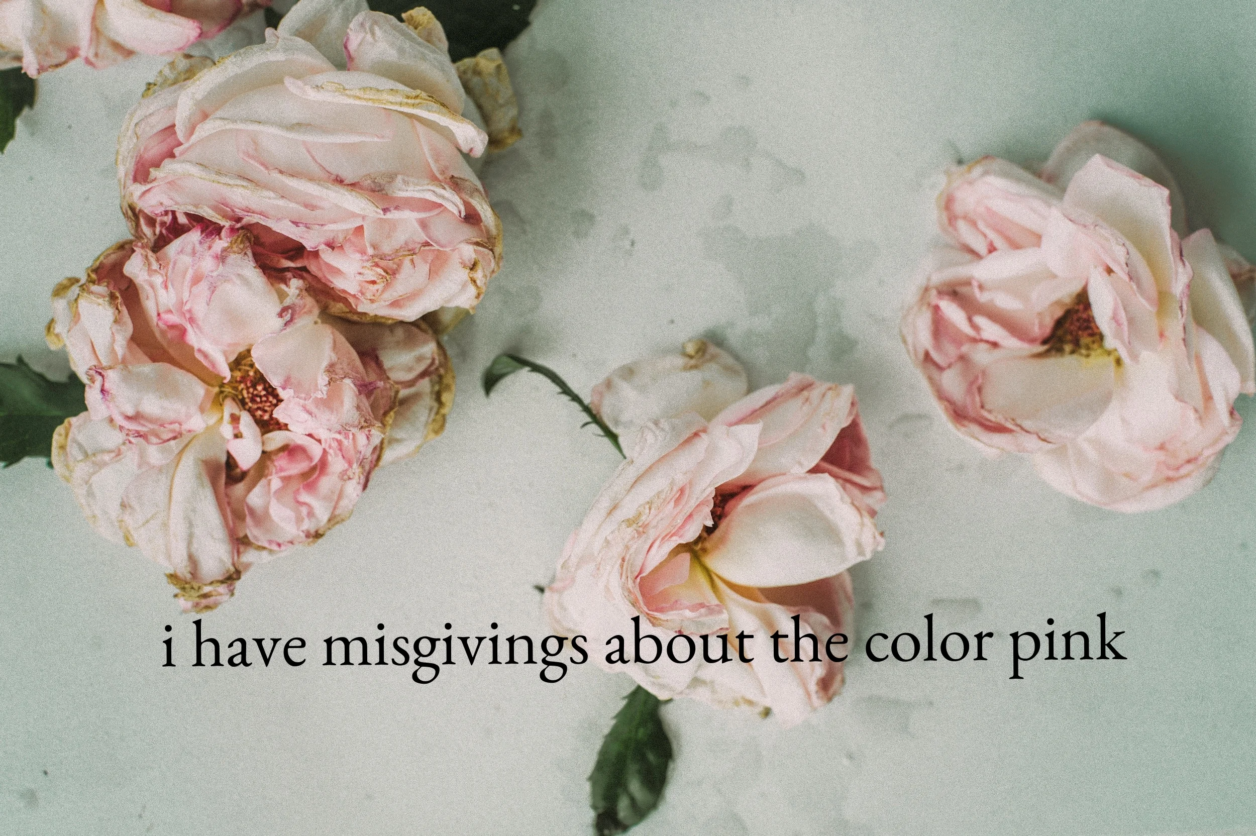 i have misgivings about the color pink