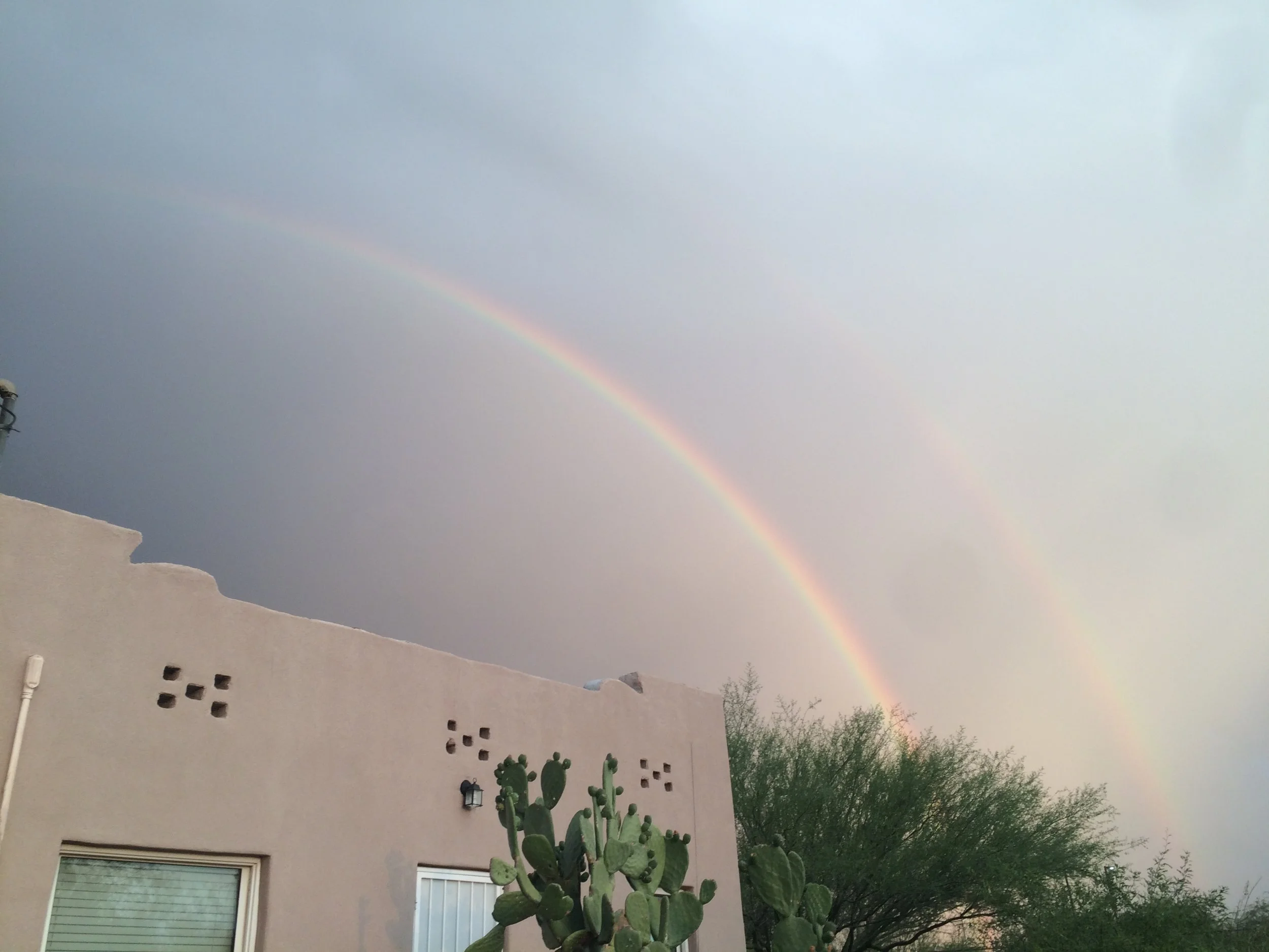 2017-07-14 19.15.00.jpg