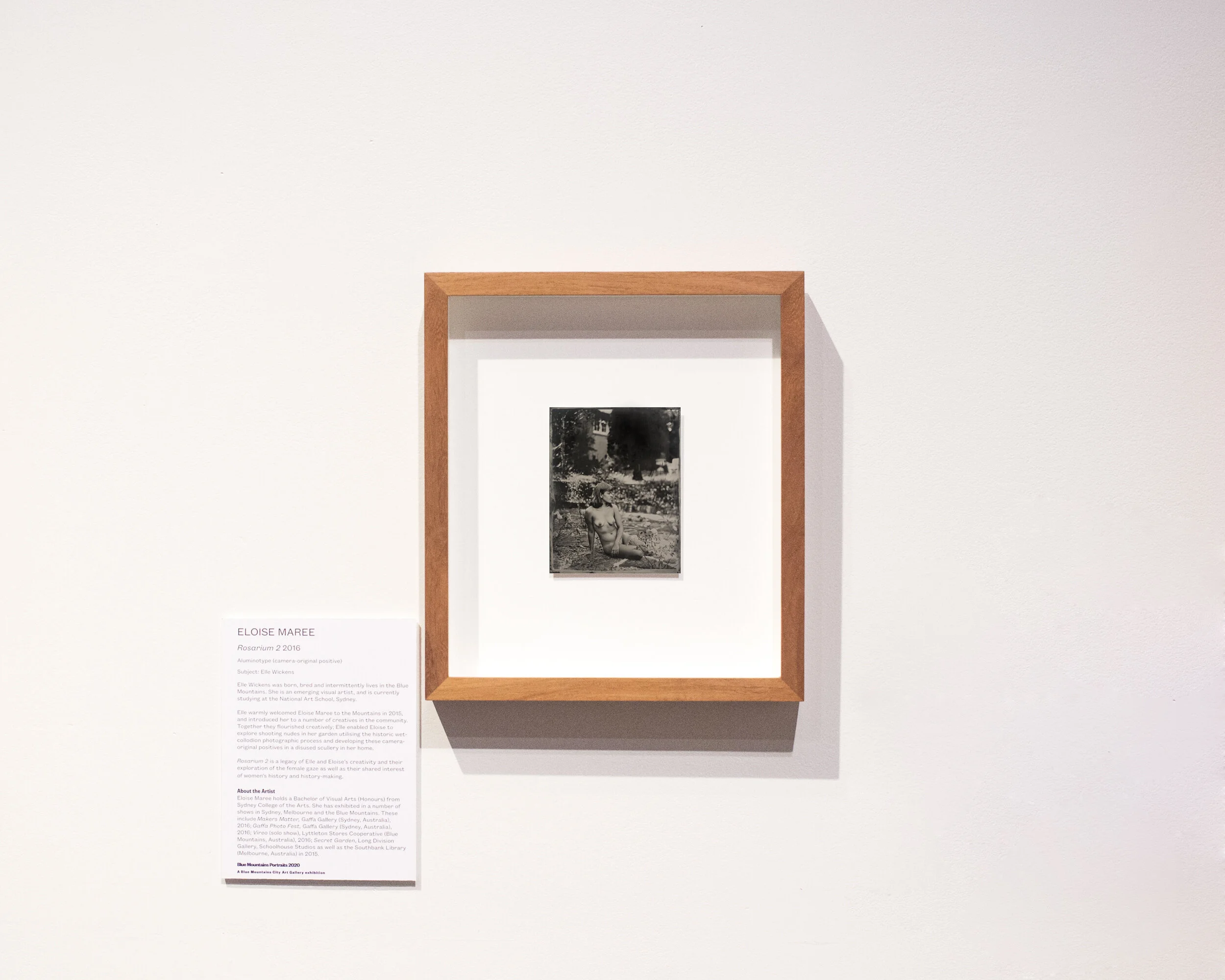   Elle  (framed aluminotype, 2016)  