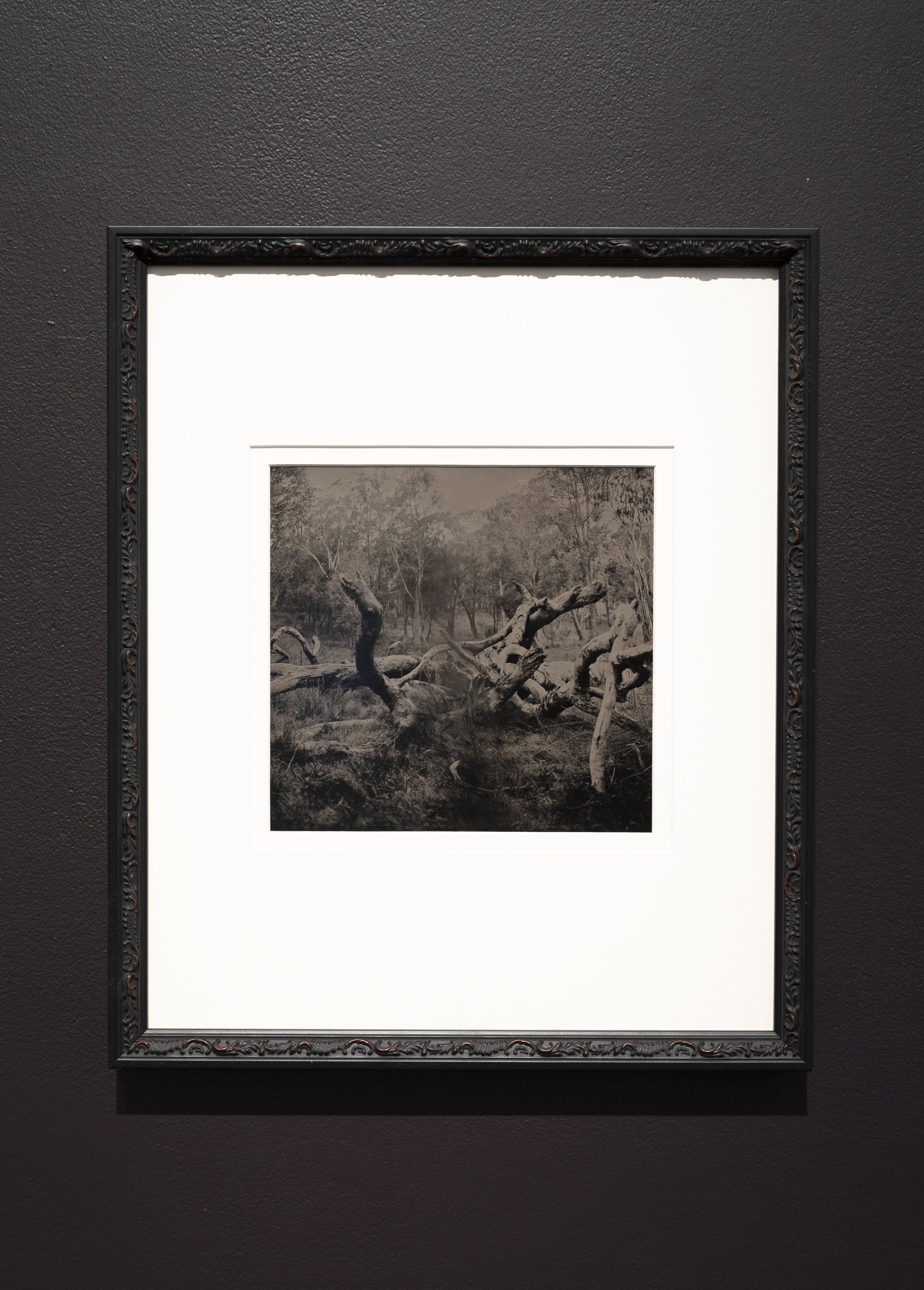  Anamneses (framed 8 x 10” tintype, 2021) 