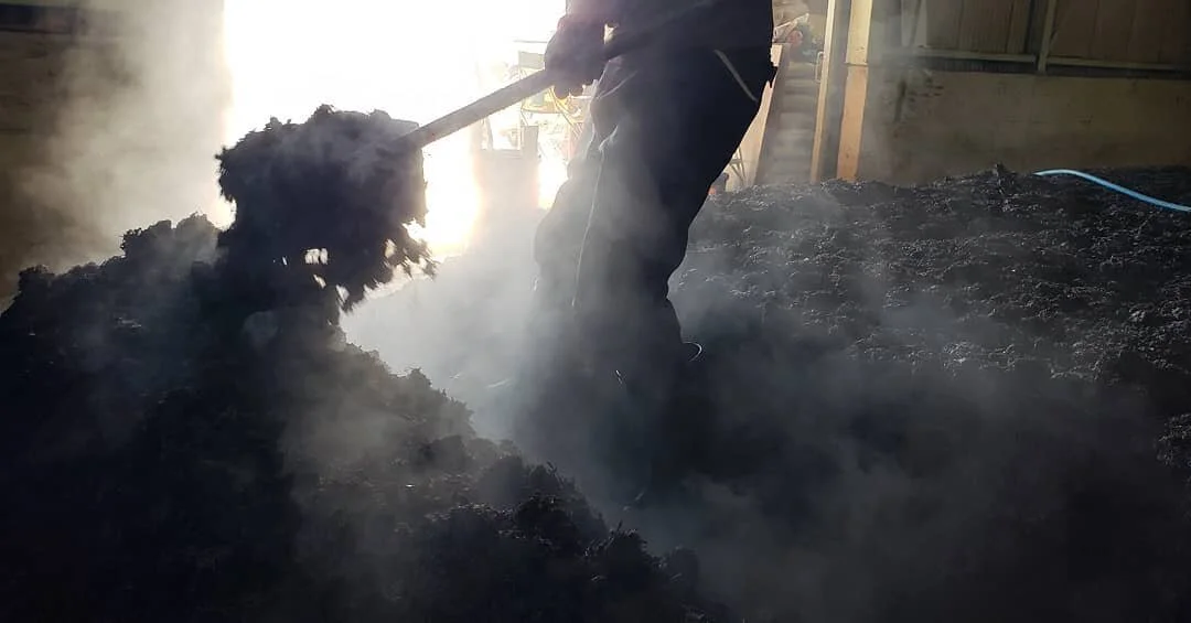 Composting process &quot;Kirikaeshi.&quot; Applying water on to dried indigo leaves then turn it repeatedly once a week for about 4 months.  Fermentation heat sometimes rises to approx 70 &deg; C (158 &deg; F)

#切り返し #sukumo #handmade #indigo #bloods