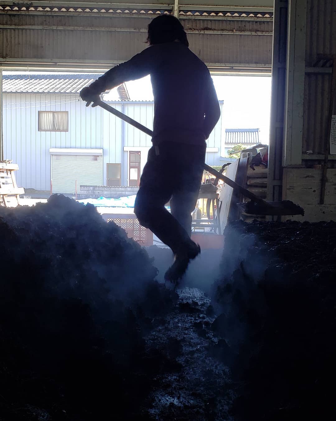 Composting process &quot;Kirikaeshi.&quot; Applying water on to dried indigo leaves then turn it repeatedly once a week for about 4 months.  Fermentation heat sometimes rises to approx 70 &deg; C (158 &deg; F)

#切り返し #sukumo #handmade #indigo #bloods