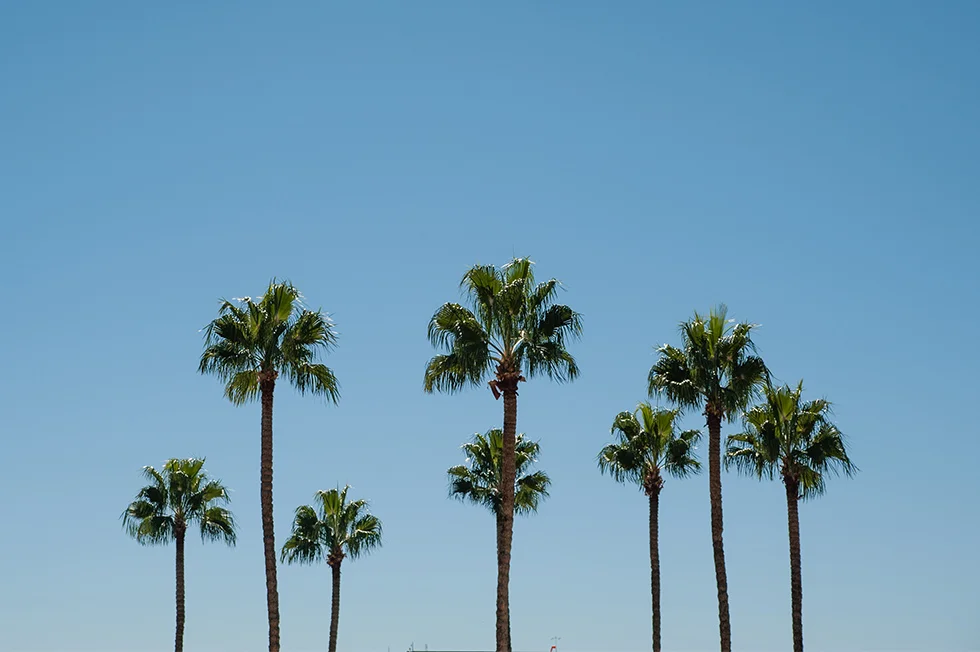 20130928_6711.jpg
