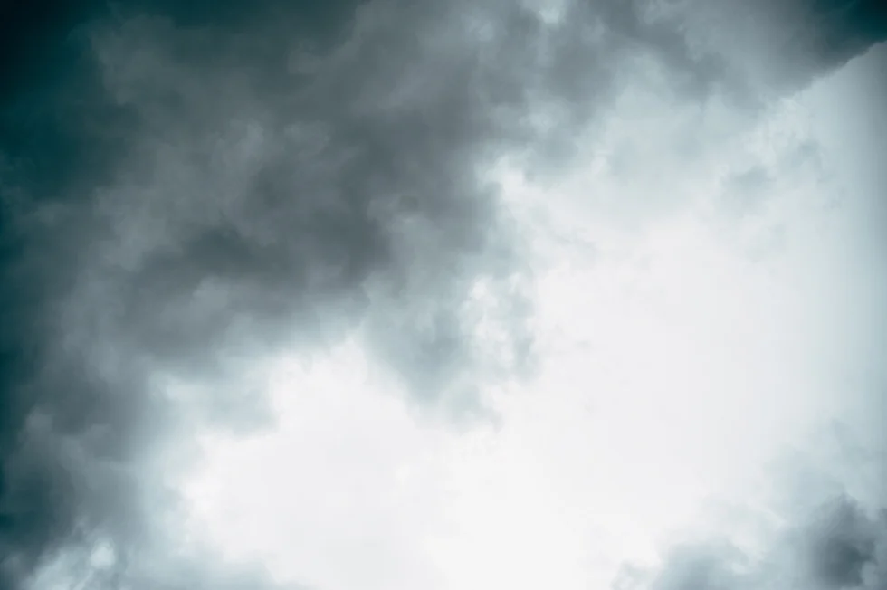 20150301_3465 copy.jpg