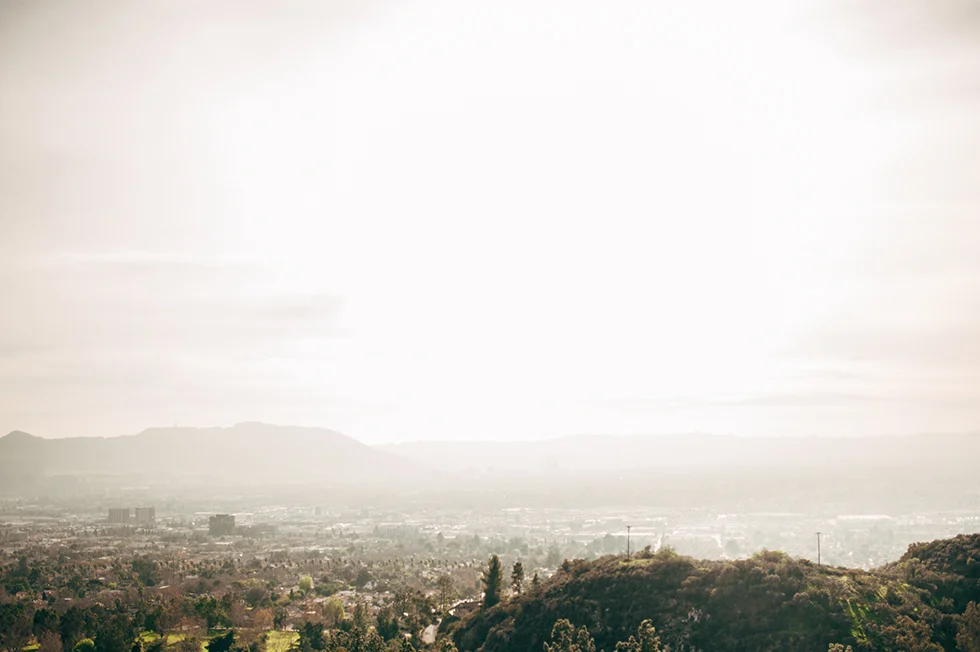 20150118_2576 copy.jpg