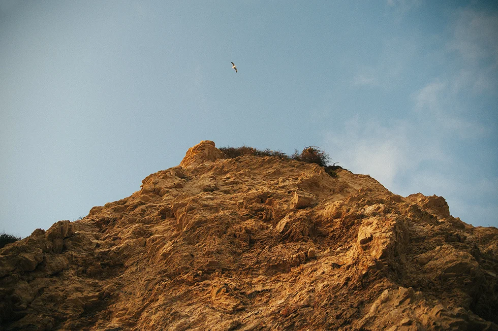 20140808_5857 copy.jpg