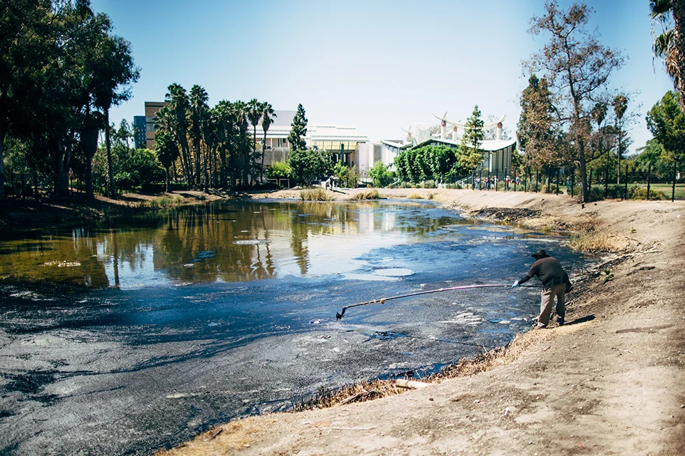 20150913_8014 copy.jpg