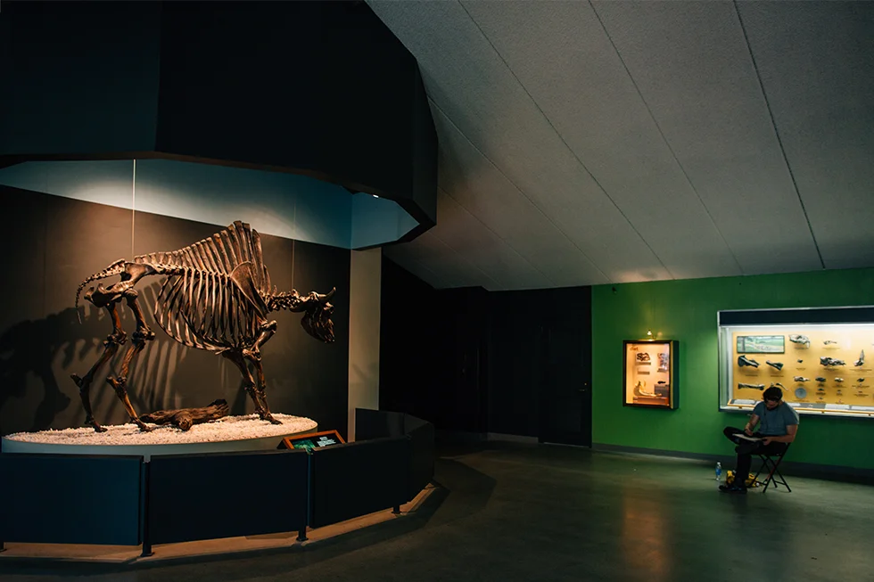 20150913_8053 copy.jpg