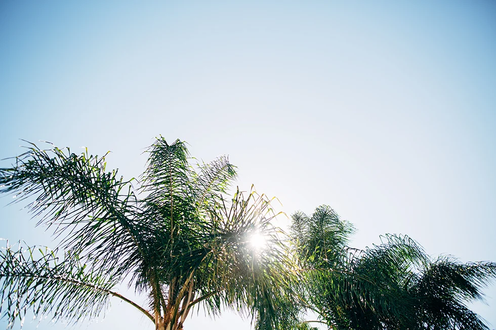 20150913_8107 copy.jpg