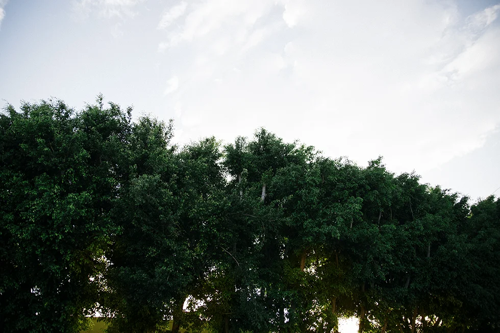 20150612_6381 copy.jpg