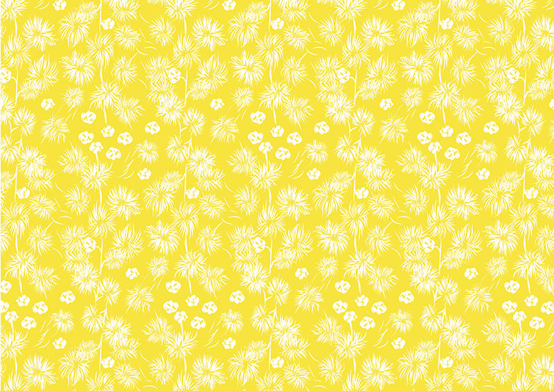 O-Bush-Gum-Blossoms-7035.jpg